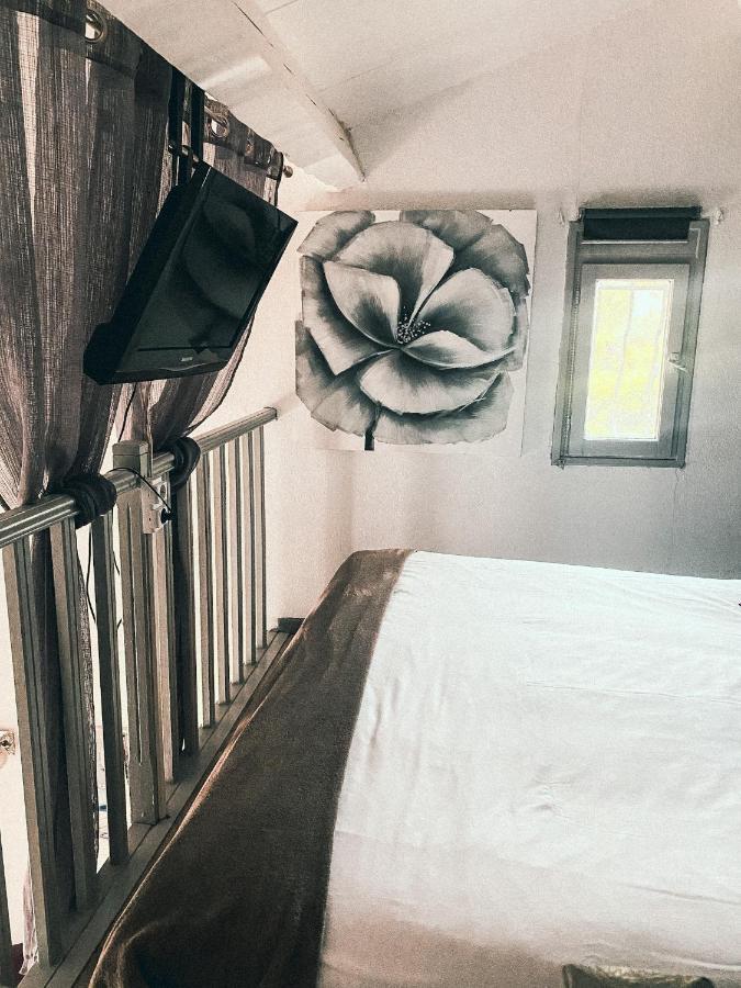 Auberge Des Pins Tourrettes Kültér fotó